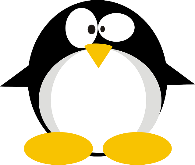 linux-155549_640