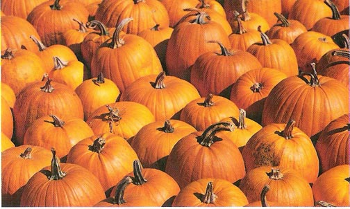 pumpkins postcard from finland R.0