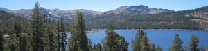 cropped-IMG_1991-21