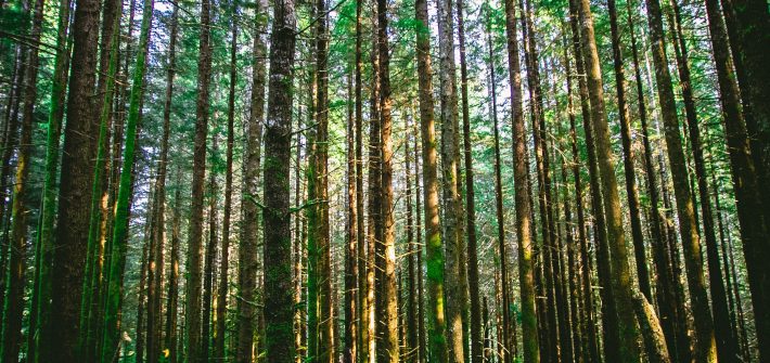 Guide to Personal Finance Blogosphere- fromfrugaltofree.com