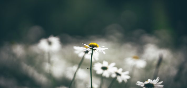 Why You Should Pay Off Debt ASAP