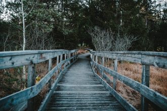 bridge period