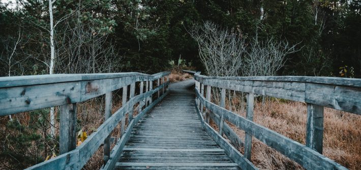 bridge period