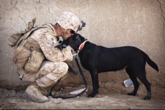 Care Packages for Troops