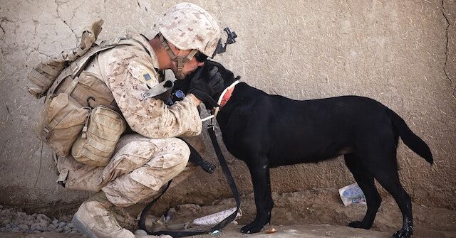 Care Packages for Troops