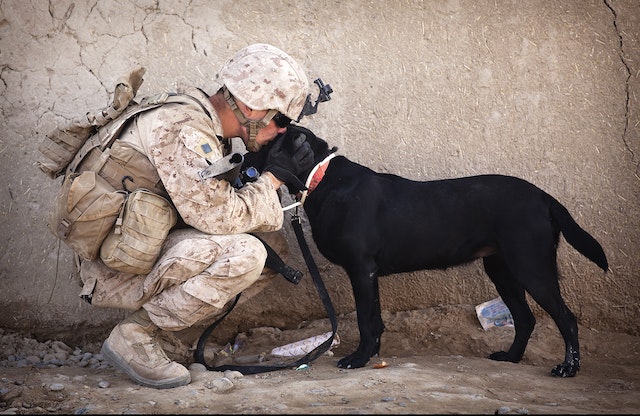 Care Packages for Troops