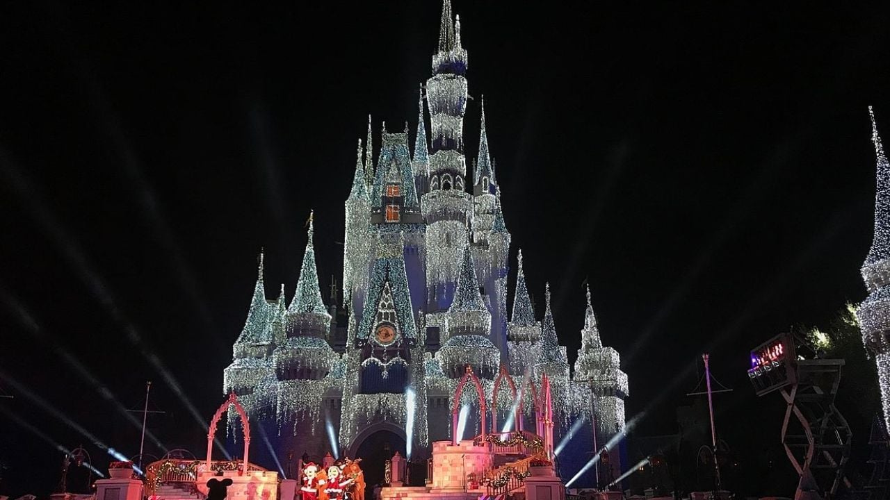 Disney Castle