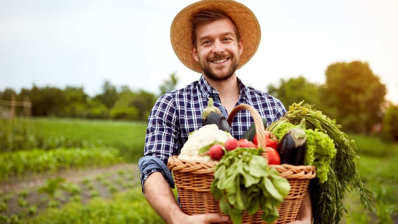 Gardening, man, hat, vegetables, grow, happy, smiling, basket, healthy, food