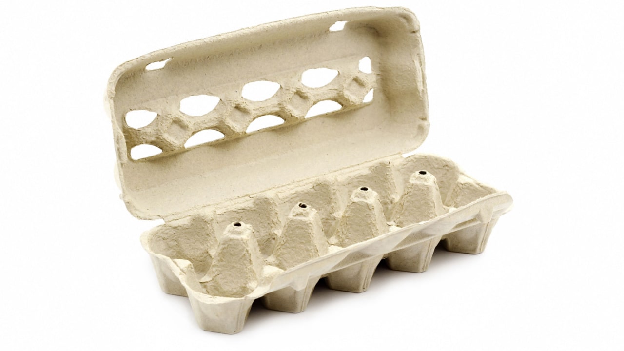 Egg carton.