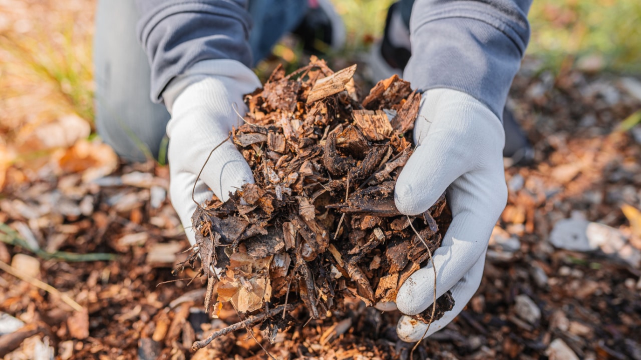 mulch