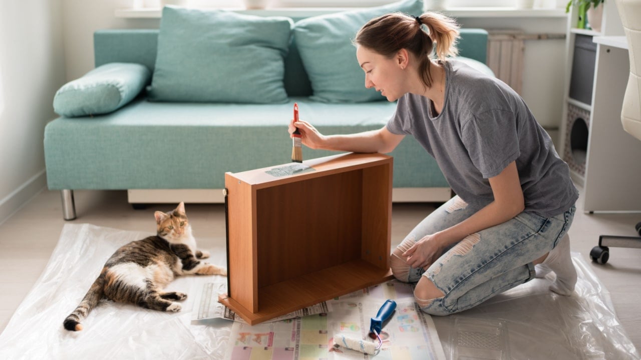 Young woman painting drawer. Cat lying nearby. Furniture repair. Do it yourself. Handmade.