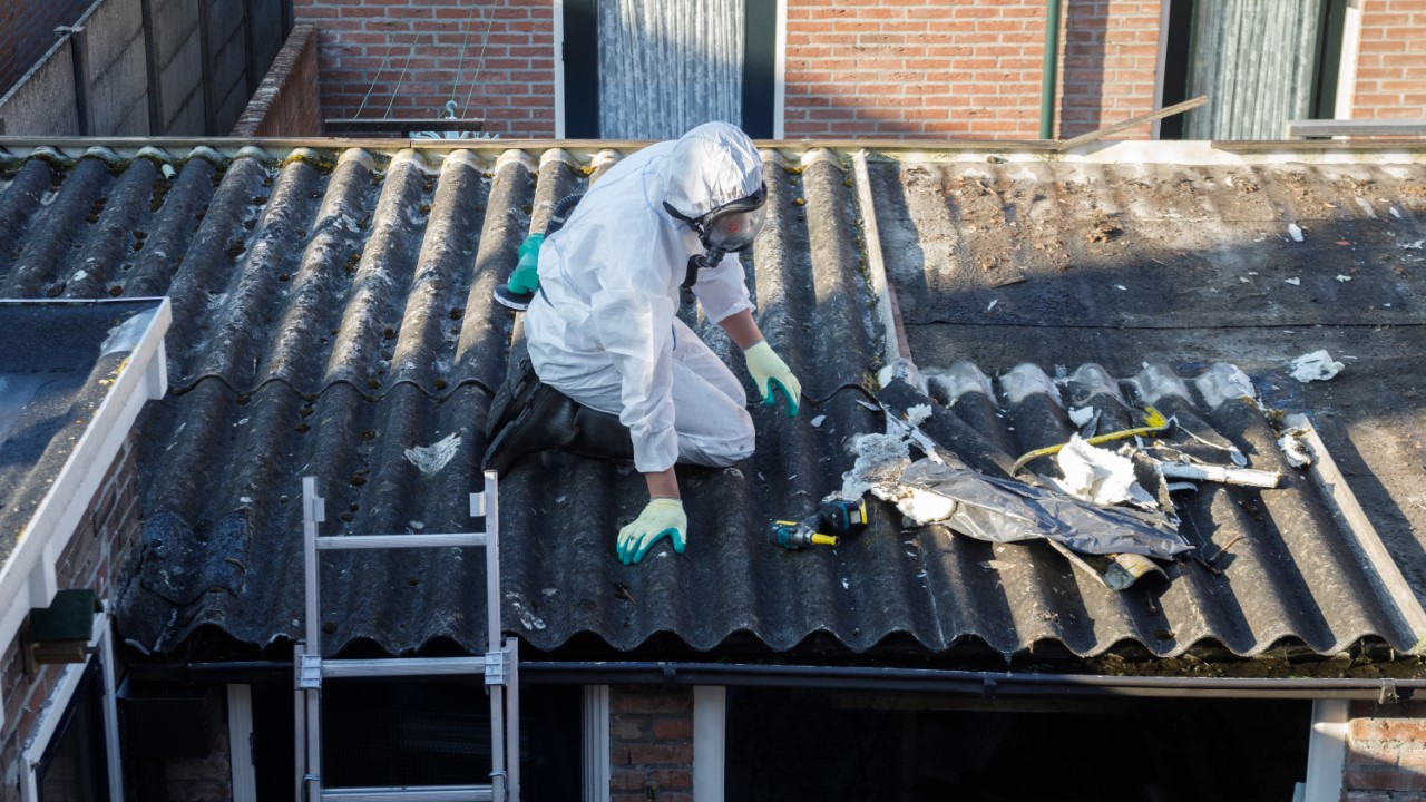professional cleaning asbestos