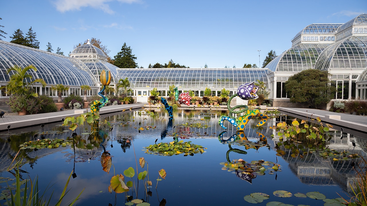 BOTANICAL GARDEN. Shown Here is Hymn of Life - Tulips