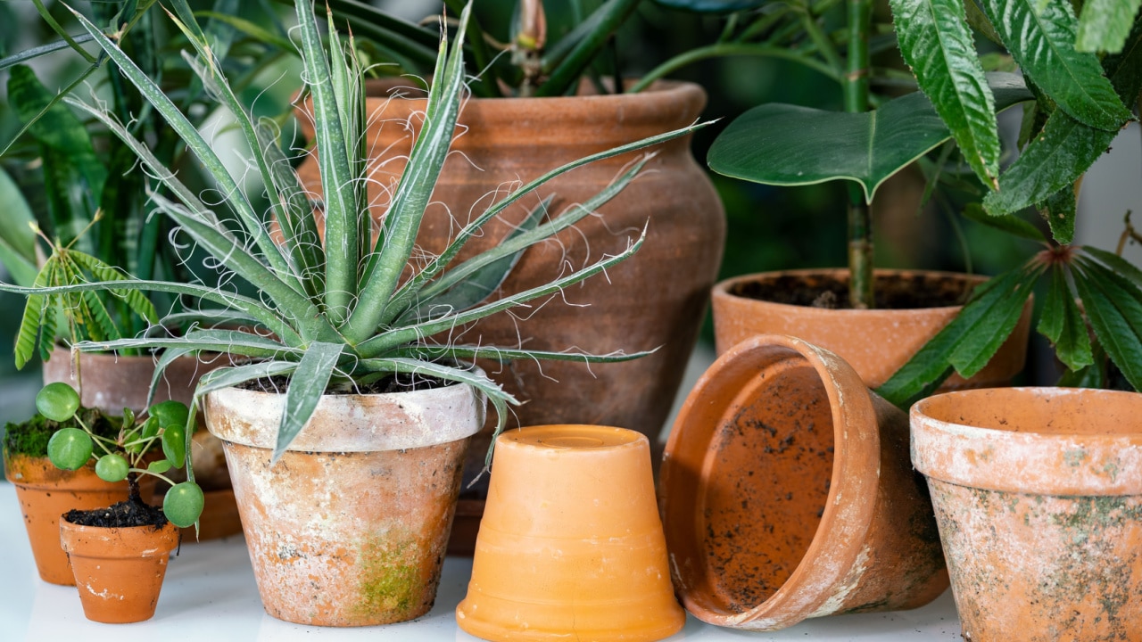 used garden containers