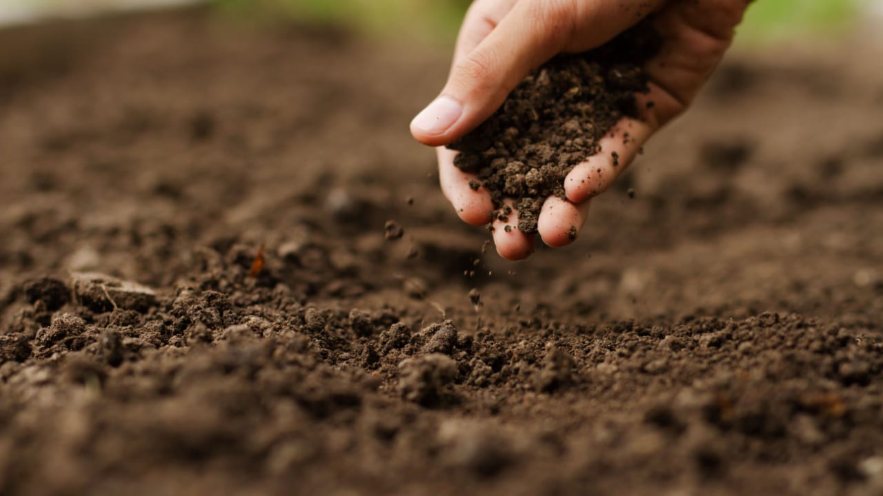 Man beginning landscaping process on home