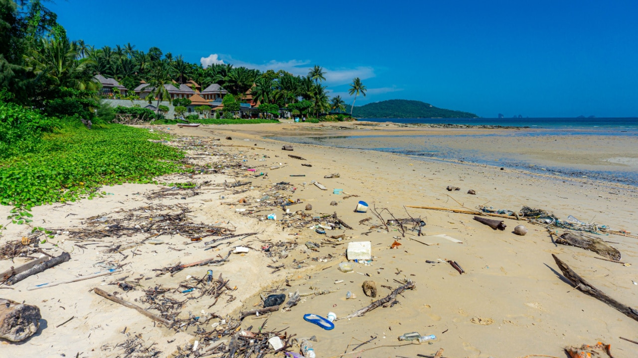 Beach covered in litter, disapponting attraction