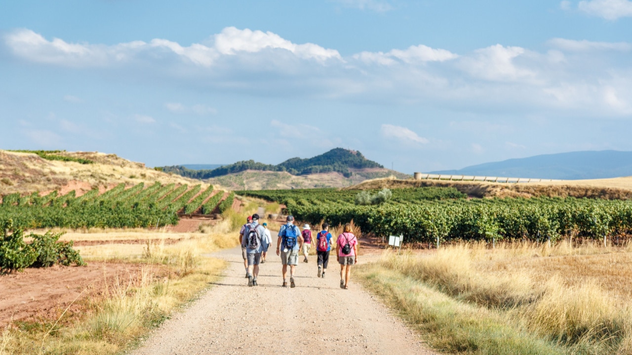 Group of people hiking