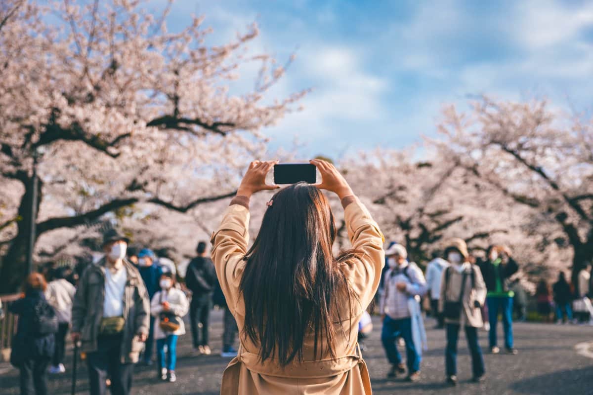 18 Unmissable Gap Year Destinations for Personal Growth and Exploration - Vimarsana News